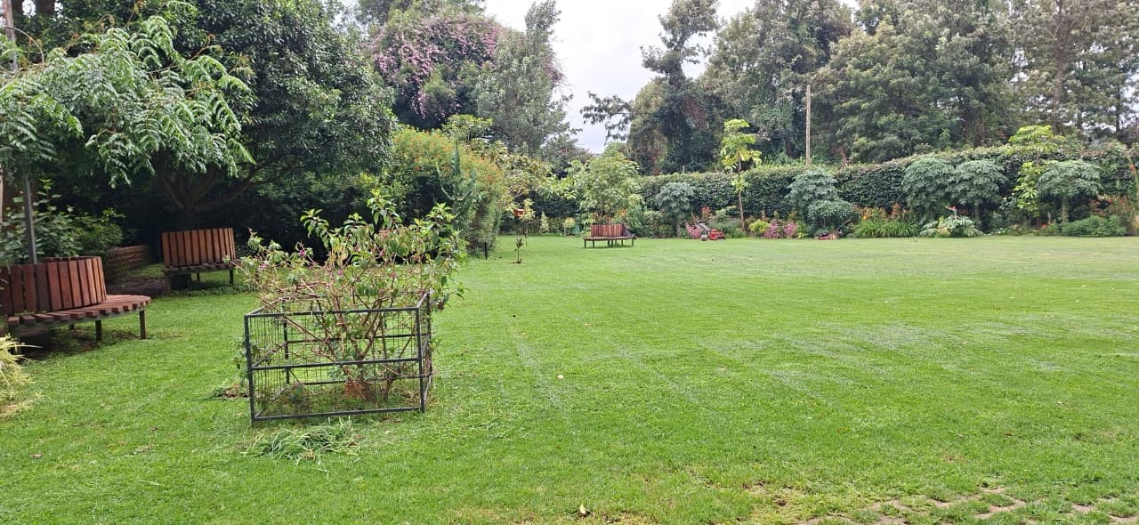 Shinyanga Urban Gardens & Design