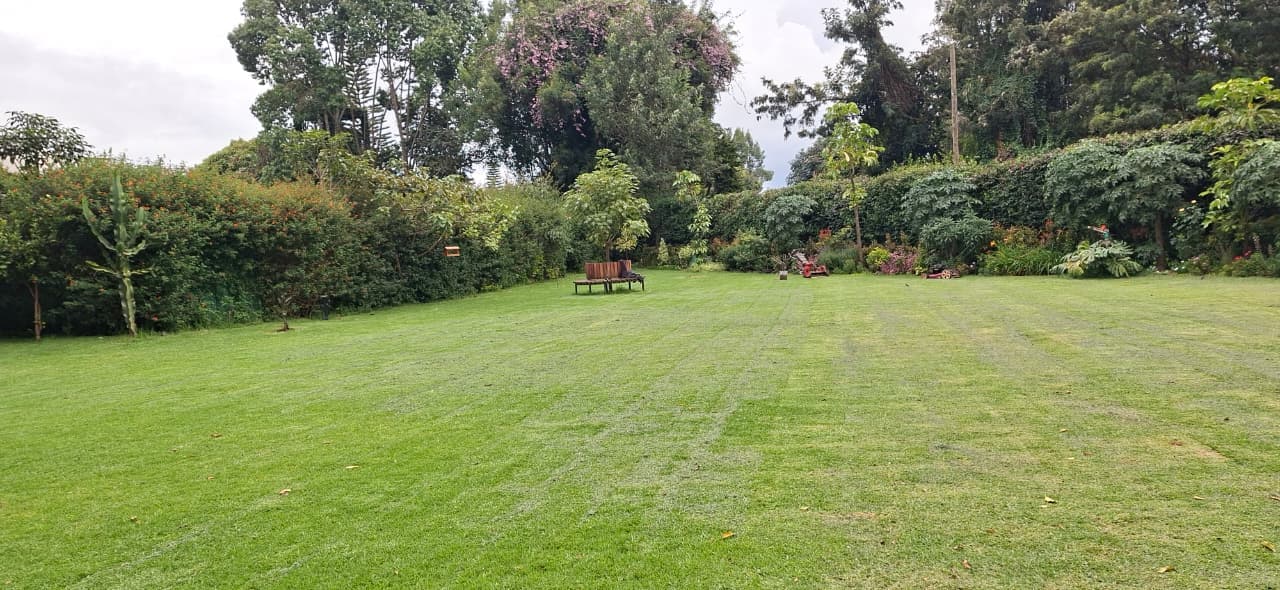 Shinyanga House grounds